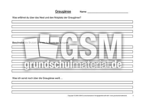 Arbeitsblatt-Graugänse-4.pdf